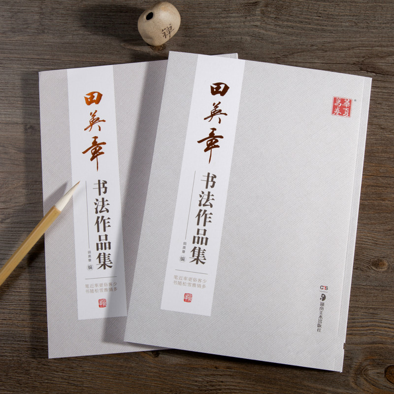 Ouyang Xun 브러시 서예 카피 북 Tian Yi - Chinese Calligraphy Practice Book 리뷰 및 가격