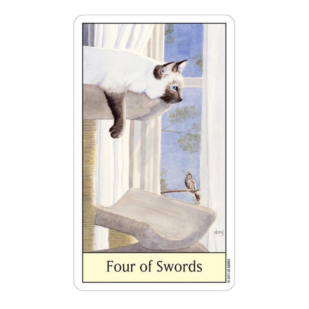 고양이 눈 타로 12x7 cm 카드 게임 - Tarot Deck With Guidebook 리뷰 및 가격